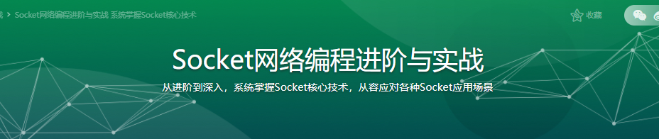 Socket网络编程进阶与实战|完结无密