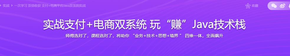 实战支付+电商双系统 玩“赚”Java技术栈|完结无密
