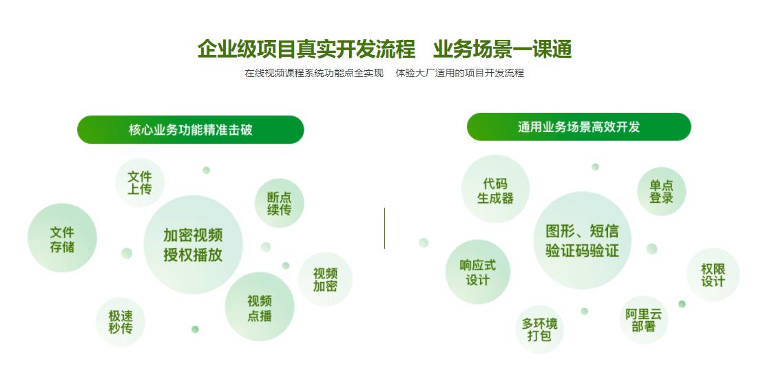 Spring Cloud+Vue前后端分离开发企业级在线视频系统|完结无密