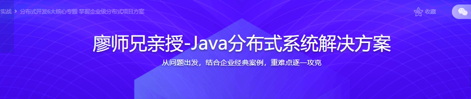 廖师兄亲授-Java分布式系统解决方案|完结无密