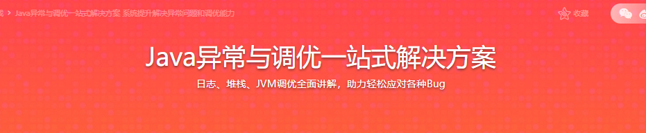 Java异常与调优一站式解决方案 系统提升解决异常问题和调优能力|完结无密