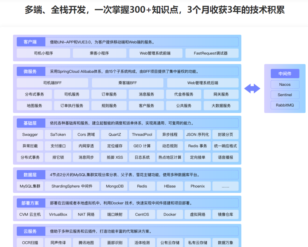 【微体系】多端全栈项目实战：商业级代驾全流程落地无密下载