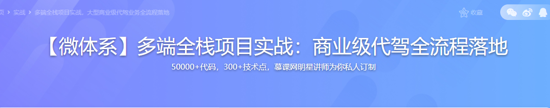 微体系-多端全栈项目实战：商业级代驾全流程落地完结无密